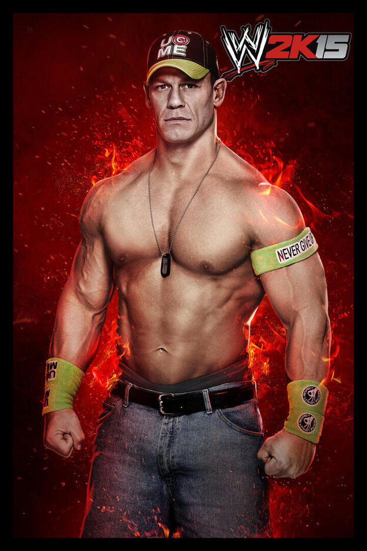 Wwe 2k15 | Occasion