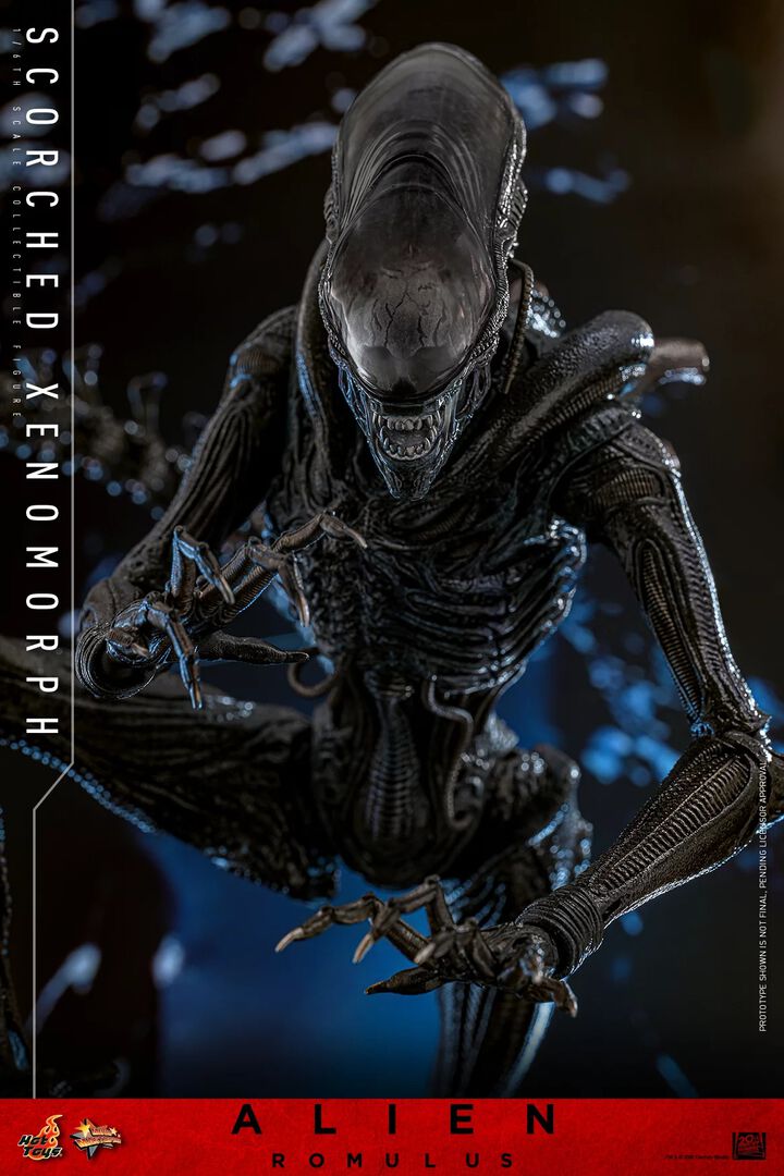 Figurine Hot Toys | Alien | Alien : Romulus Figurine 1/6 Scorched Xenomorph 44cm