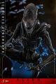 Figurine Hot Toys | Alien | Alien : Romulus Figurine 1/6 Scorched Xenomorph 44cm thumb 3