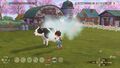Story Of Seasons A Wonderful Life Edition Limitee thumb 8