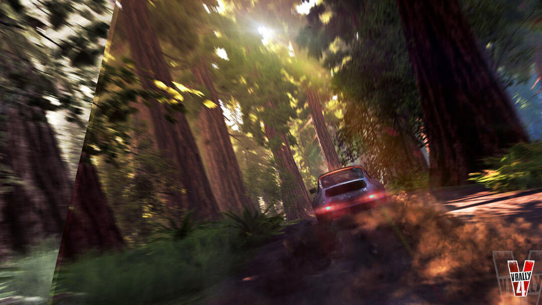 V Rally 4 | Occasion