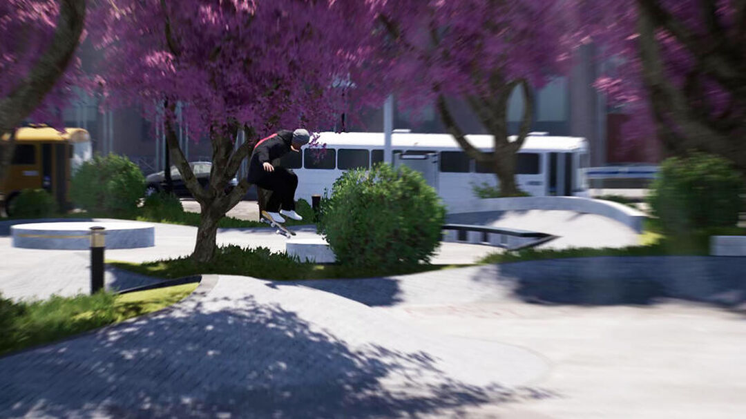 Session Skate Sim | Occasion
