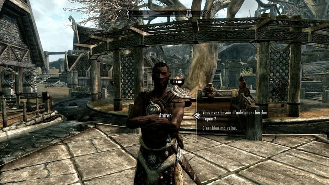 Skyrim The Elder Scrolls V | Occasion