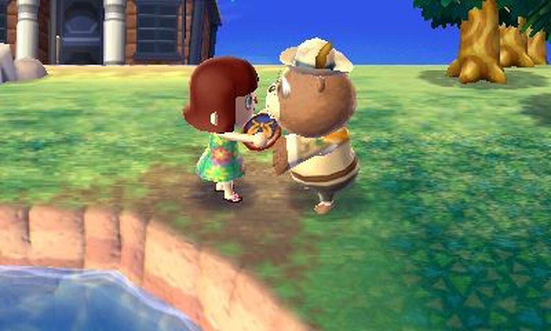 Animal Crossing New Leaf | Occasion