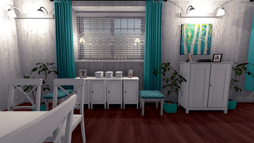 House Flipper | Occasion