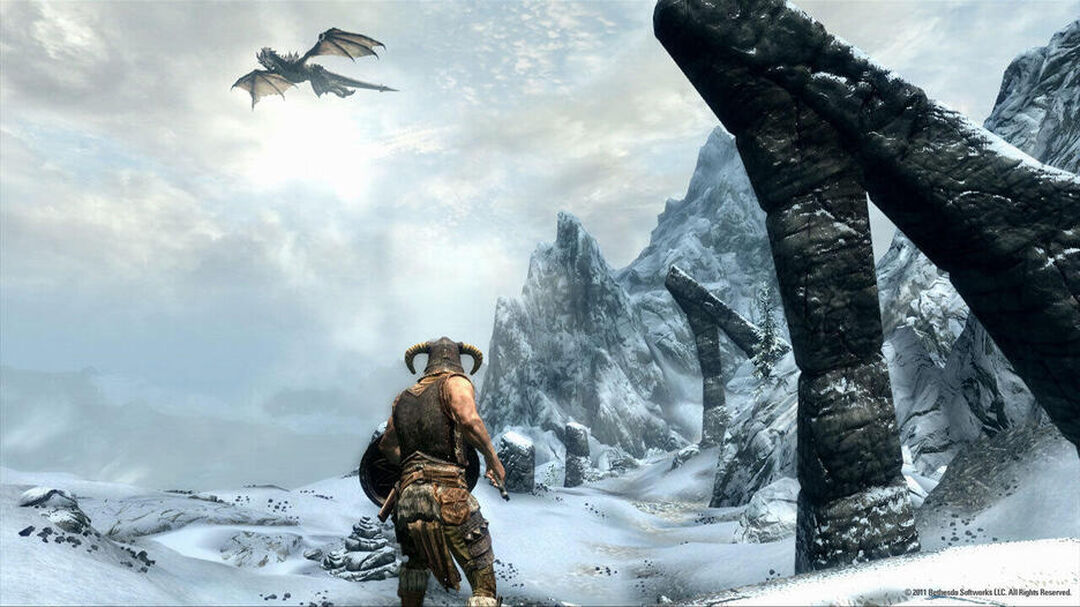 The Elder Scrolls V Skyrim | Occasion