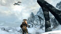 The Elder Scrolls V Skyrim | Occasion thumb 8