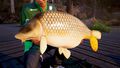 Fishing Sim World Pro Tour Collector's Edition | Occasion thumb 4