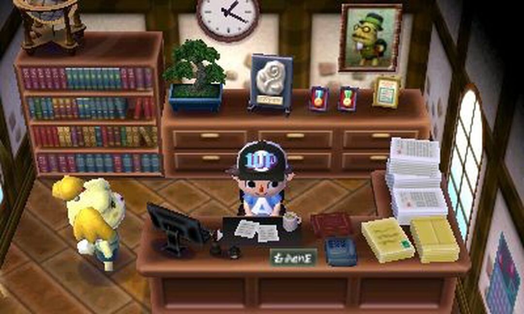 Animal Crossing New Leaf | Occasion
