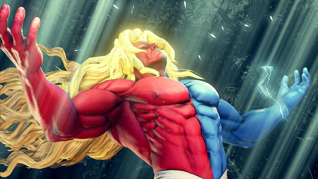 Street Fighter V Champion Edition | Occasion