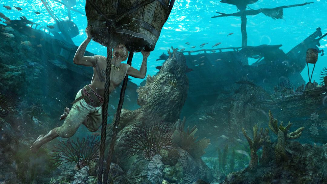 Assassin's Creed 4 Black Flag | Occasion