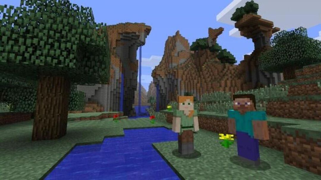 Minecraft Wii U Edition | Occasion
