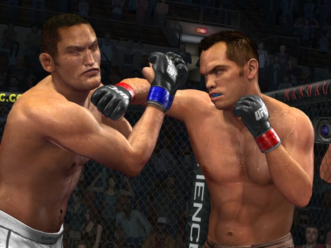 Ufc Undisputed | Occasion
