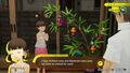 Persona 4 Revival Collector Edition thumb 4