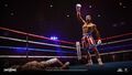 Big Rumble Boxing Creed Champions - Occasion