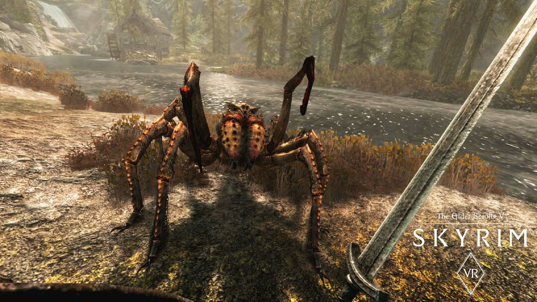 Skyrim Vr | Occasion