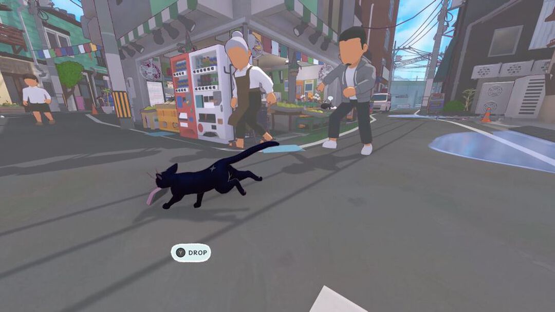 Little Kitty Big City | Occasion