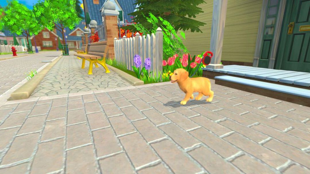 My Universe Pets Edition | Occasion