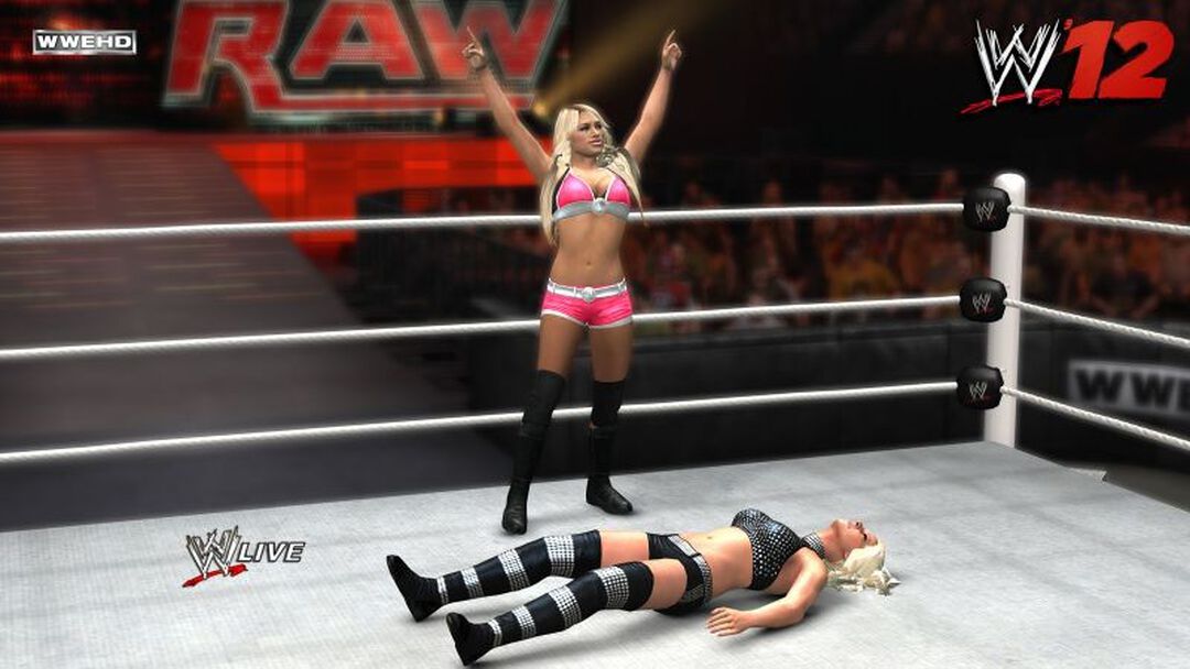 Wwe'12 | Occasion