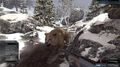 Deer Hunter Reloaded | Occasion thumb 15