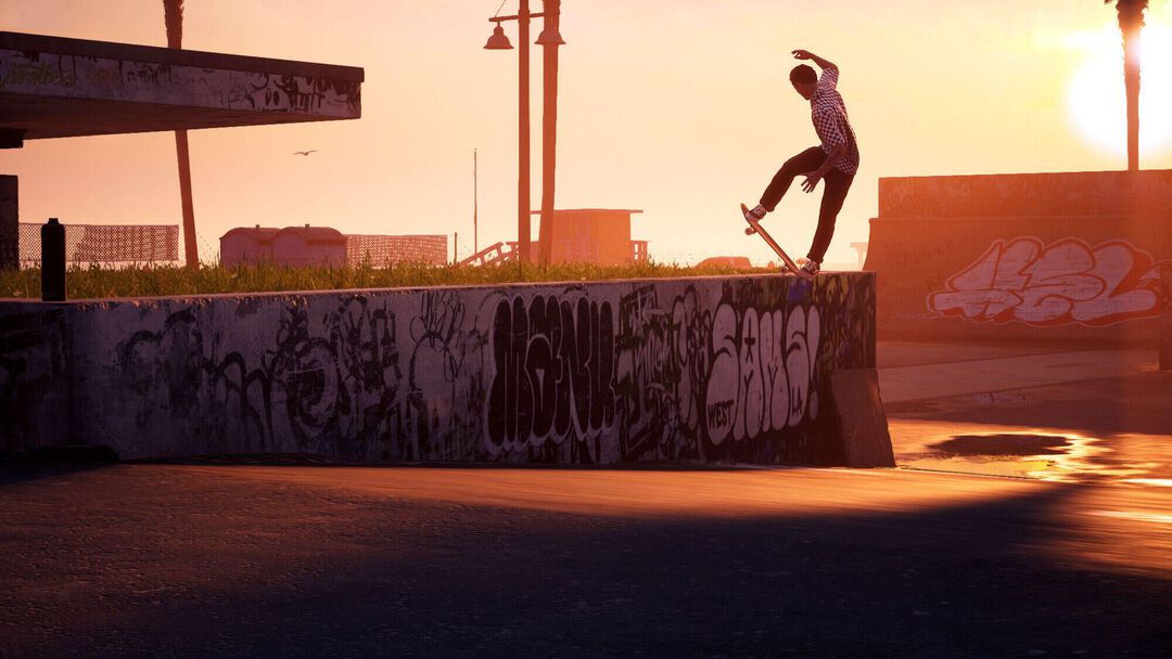Tony Hawk's Pro Skater 1+2 Edition Collector