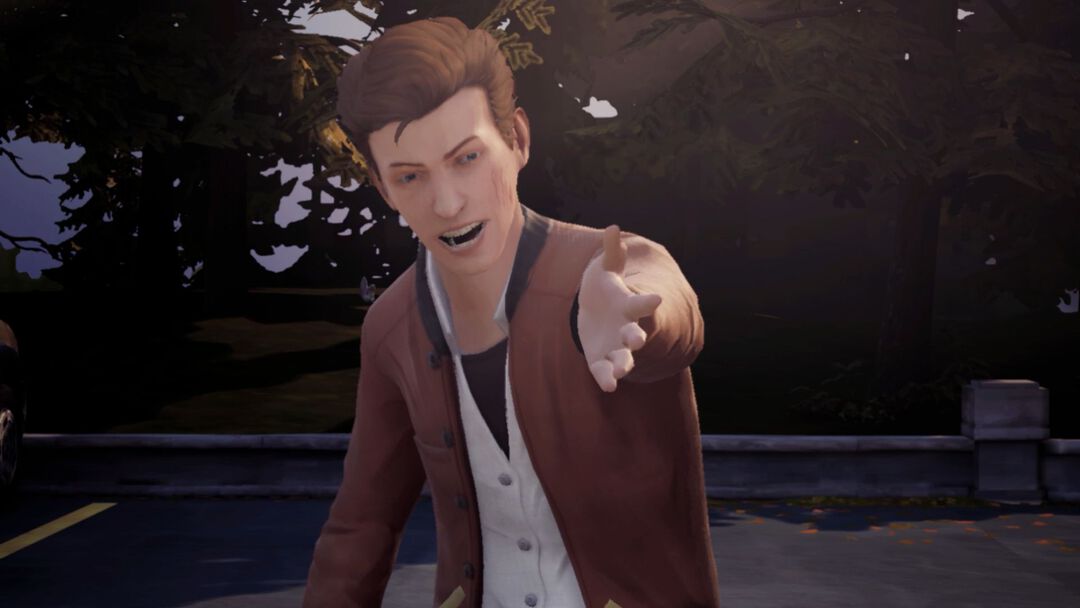 Life Is Strange Arcadia Bay Collection | Occasion