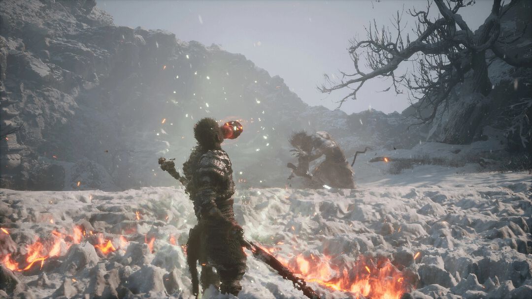 Black Myth Wukong | Occasion