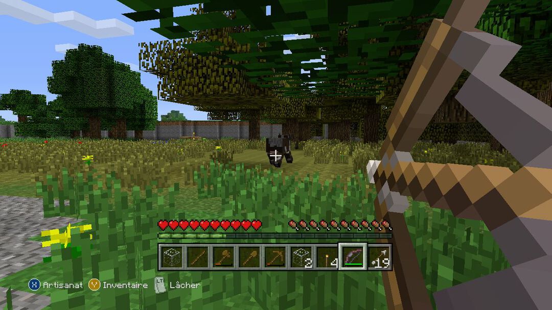 Minecraft | Occasion