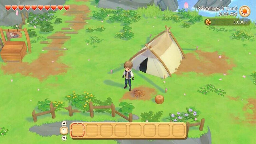 Story Of Seasons Pioneers Of Olive Town | Occasion
