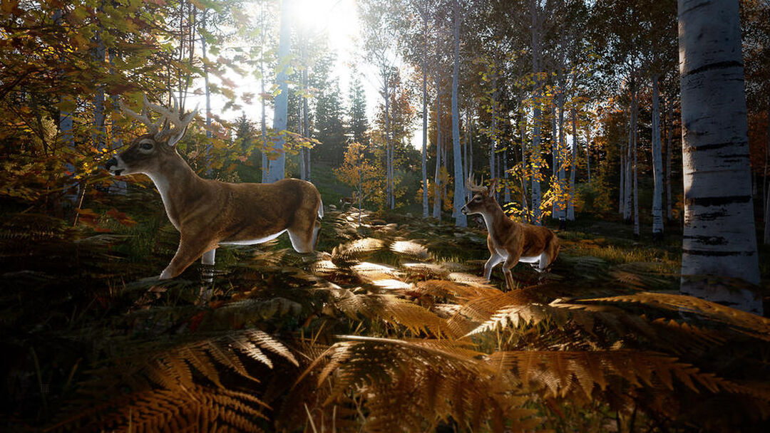 Hunting Simulator 2 | Occasion