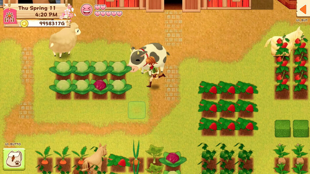 Harvest Moon Lumi&egrave;re D'espoir | Occasion