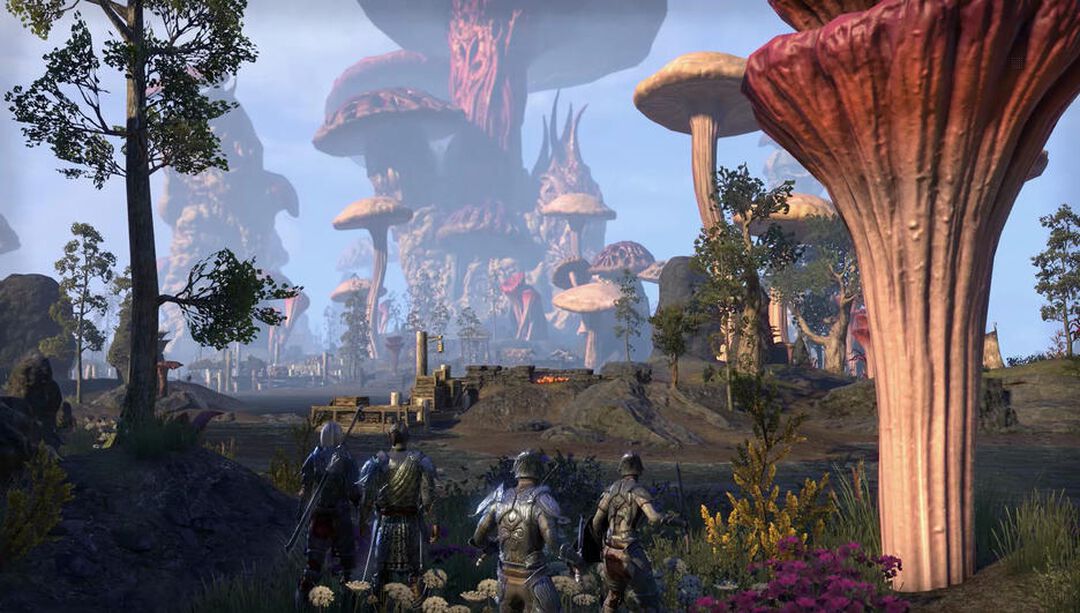 Elder Scrolls Online Morrowind | Occasion