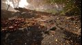 Les Fourmis Edition Limit&eacute;e | Occasion thumb 4