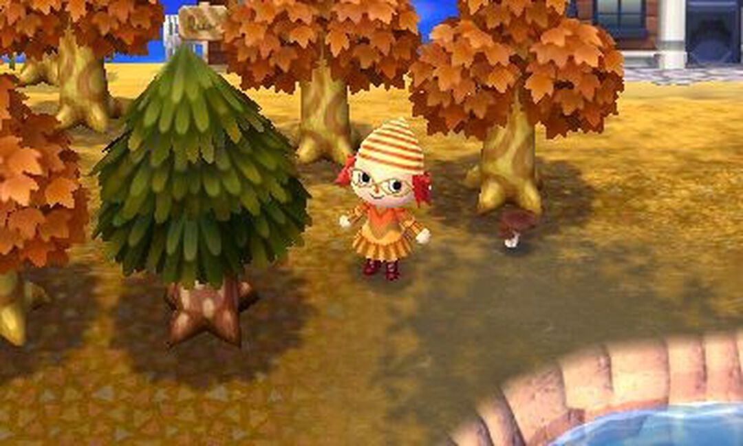 Animal Crossing New Leaf | Occasion