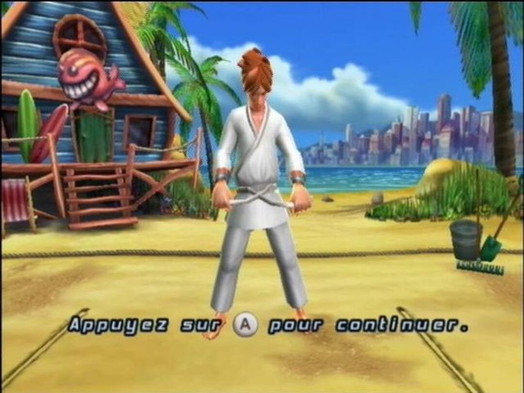 All Star Karate | Occasion