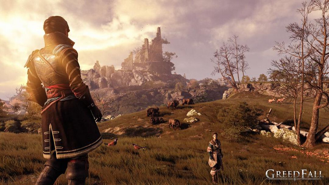 Greedfall | Occasion