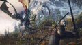 The Witcher 3 Wild Hunt thumb 9