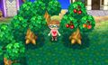 Animal Crossing New Leaf | Occasion thumb 16