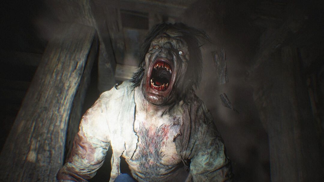 Resident Evil Village Collector Edition