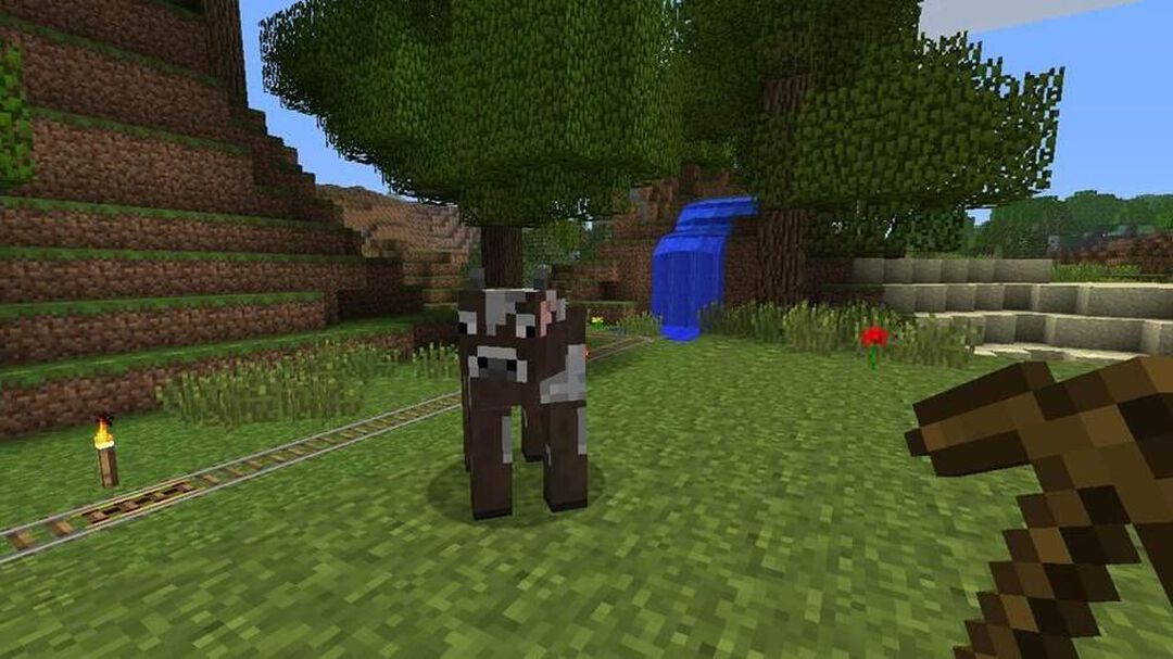 Minecraft
