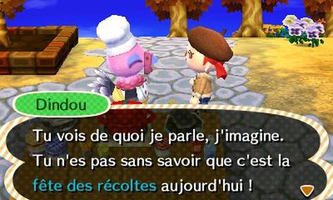 Animal Crossing New Leaf | Occasion