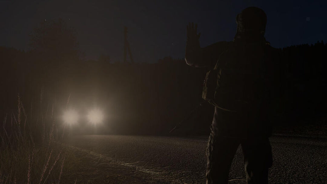 Dayz | Occasion