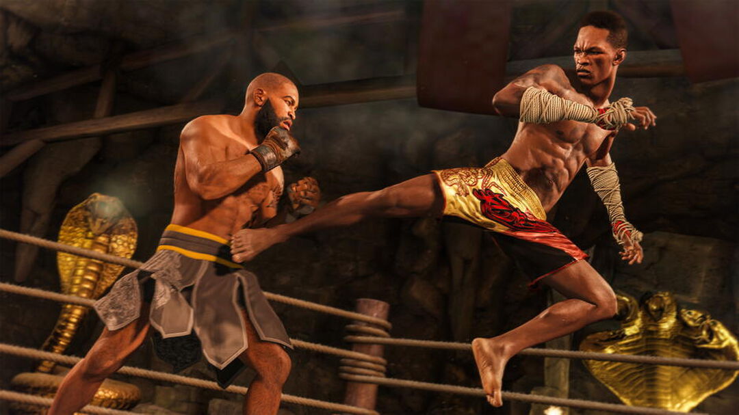 Ufc 4 | Occasion