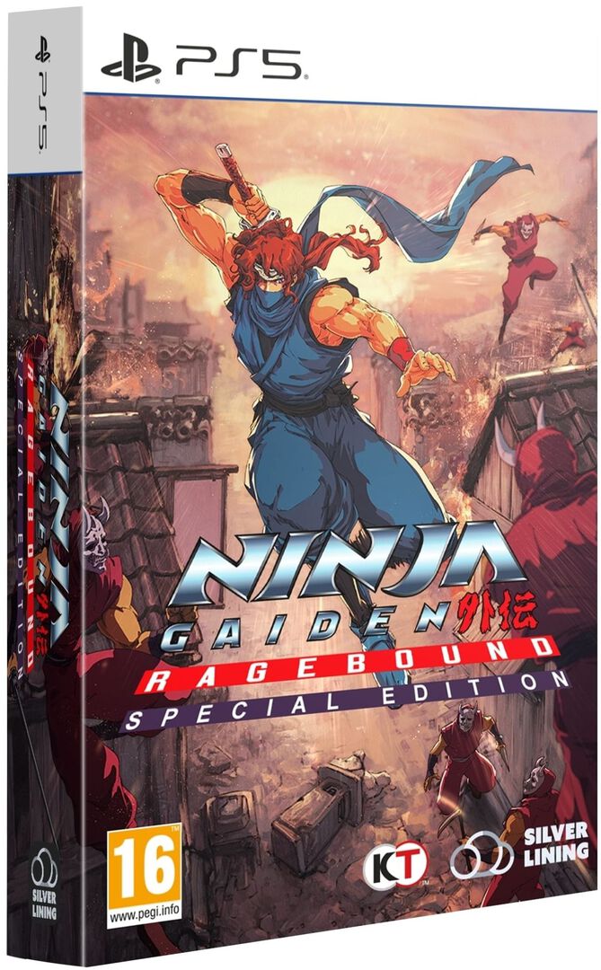 Ninja Gaiden Ragebound Special Edition