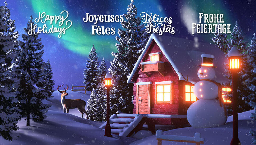 Calendrier De L'avent | Occasion