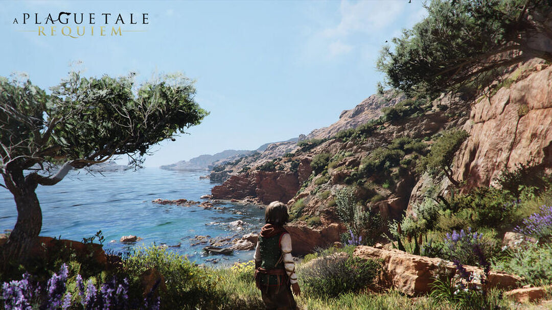 A Plague Tale Requiem | Occasion