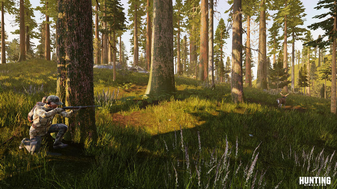 Hunting Simulator | Occasion