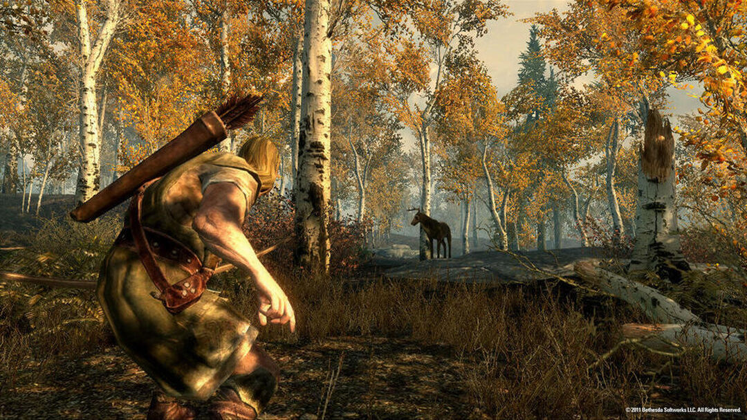 Skyrim The Elder Scrolls V Collector