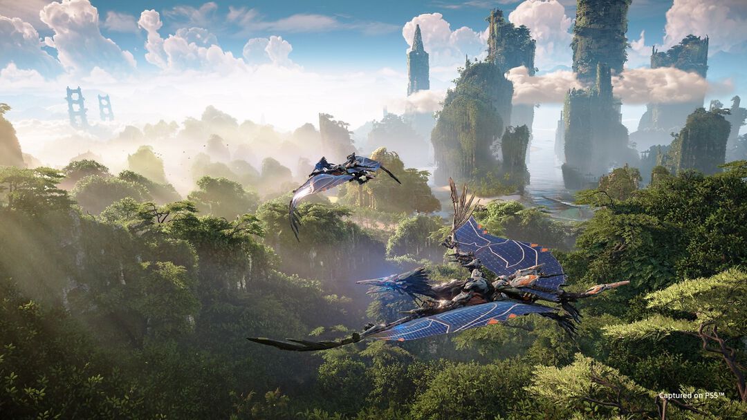 Horizon Forbidden West | Occasion