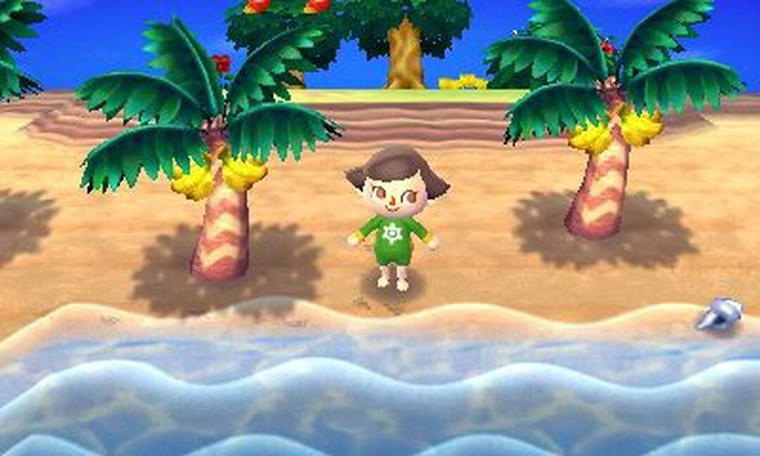 Animal Crossing New Leaf | Occasion